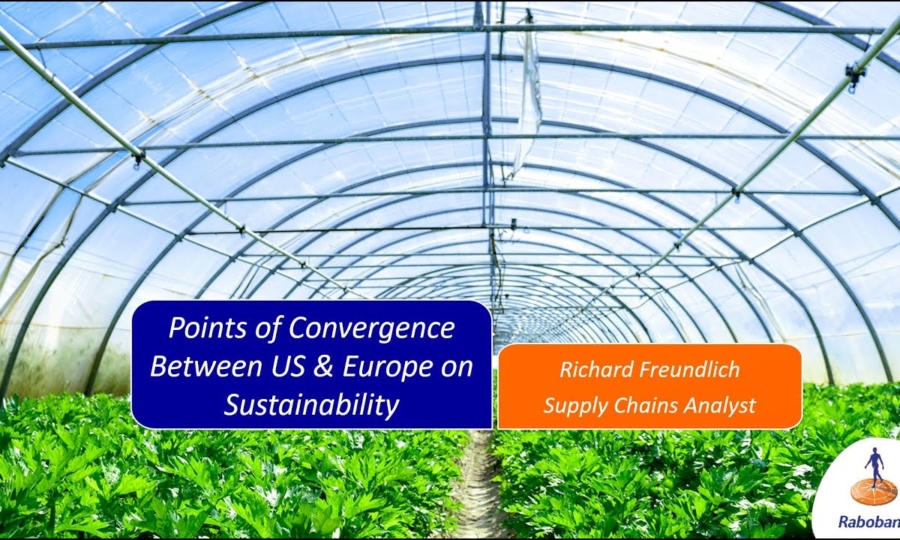 Points of Convergence between US & Europe on Sustainability with Richard Freundlich (Supply Chains Analyst)