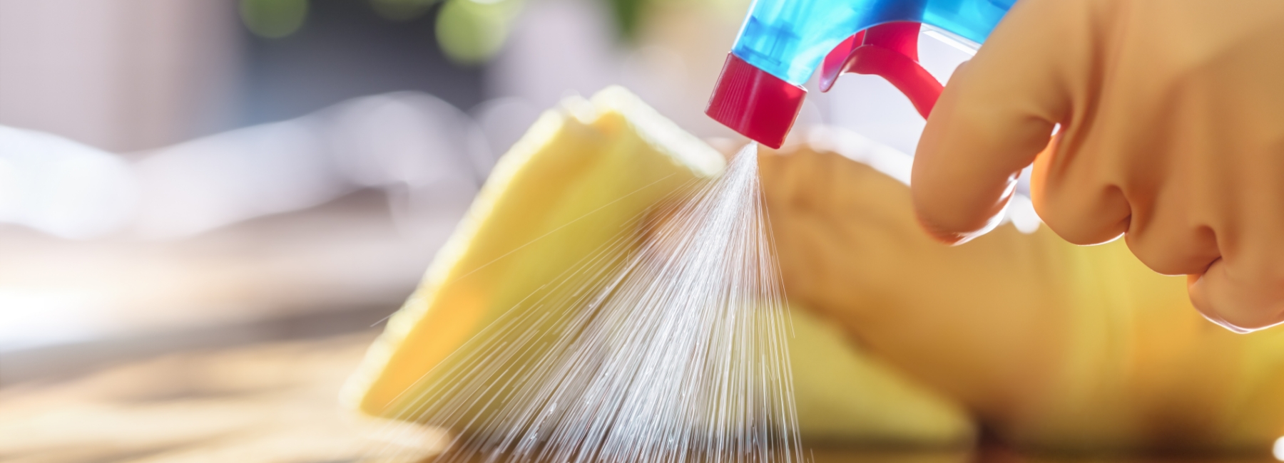 Person cleaning with cloth and spray