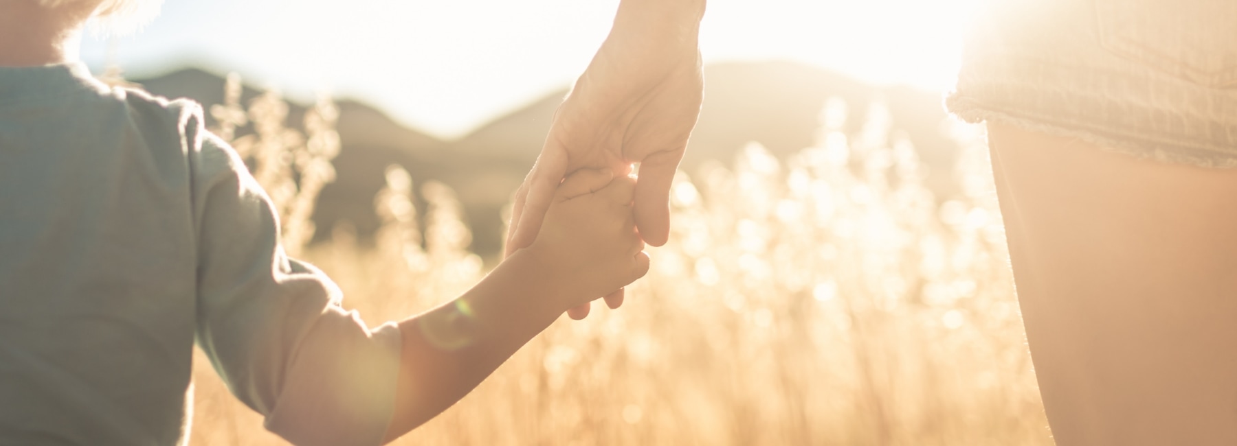 Person with infant in a field of weeds holding hands and the sun dazzles the scene.