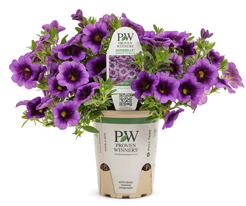 NATIVIA® in mold label for flower pots