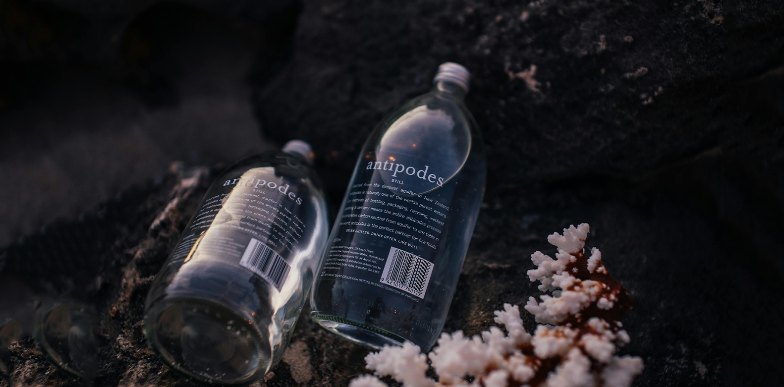The Revolution of Recyclable Packaging